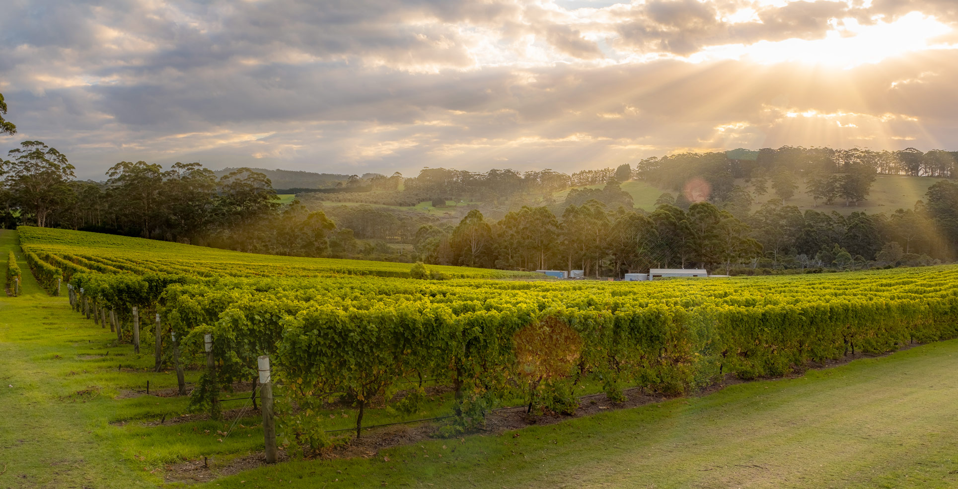 Denmark Winery and Cellar Door The Lake House Denmark