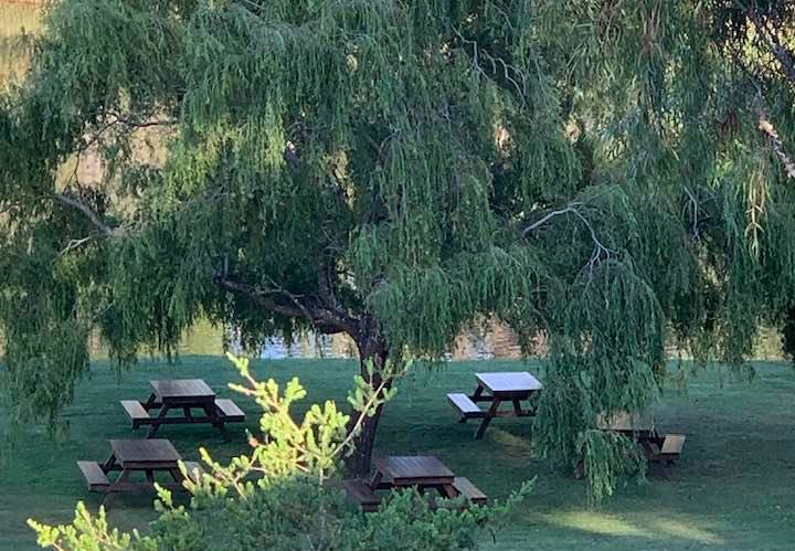 Top five picnic spot in Denmark