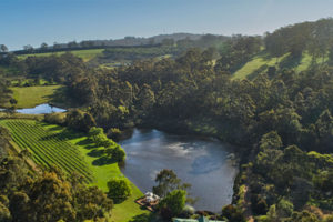 Lake House Vineyard showing clean environment for wines