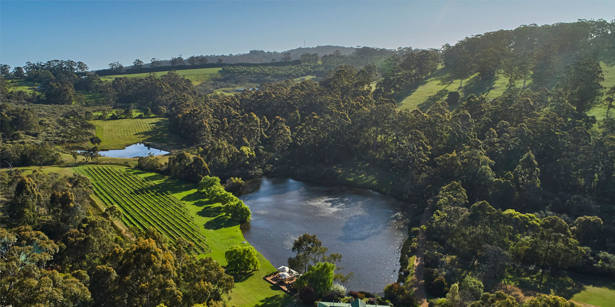 Lake House Vineyard showing clean environment for wines