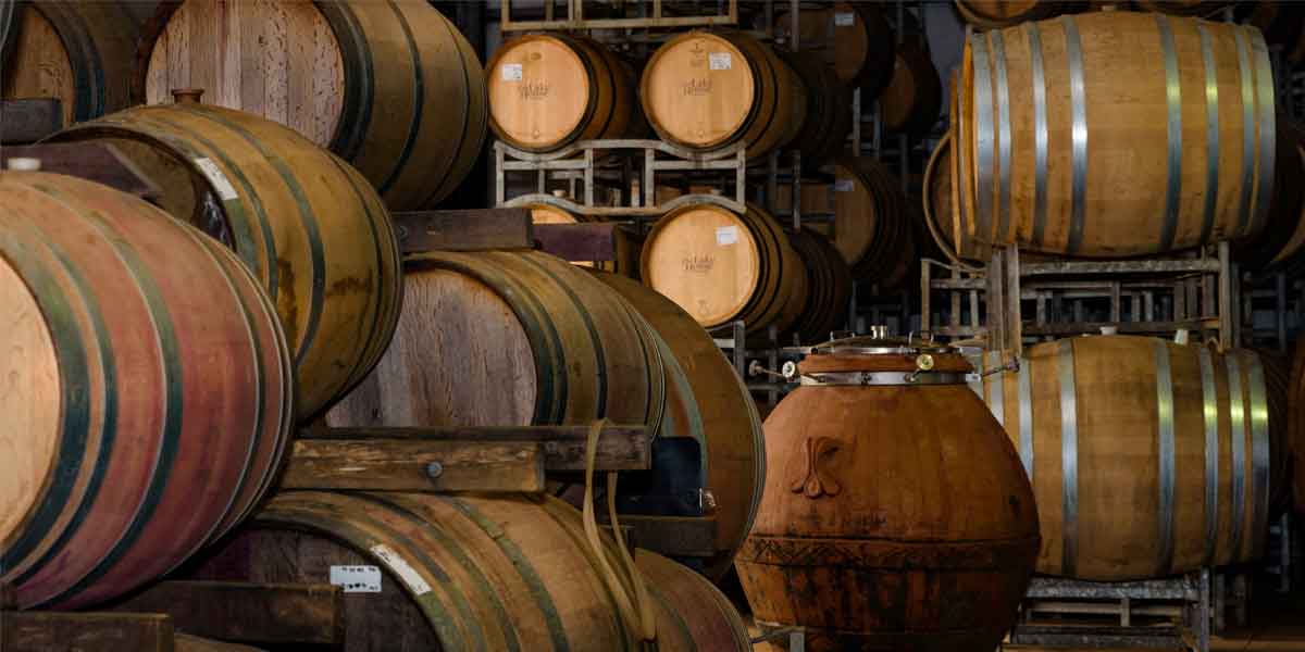 Wine_barrels_in_winery
